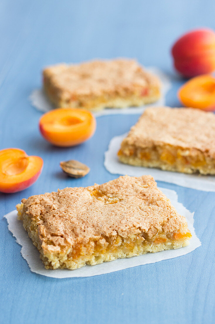 Apricot tray bake slices with coconut