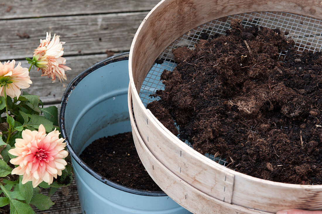 Gebrauchte Erde recyceln :