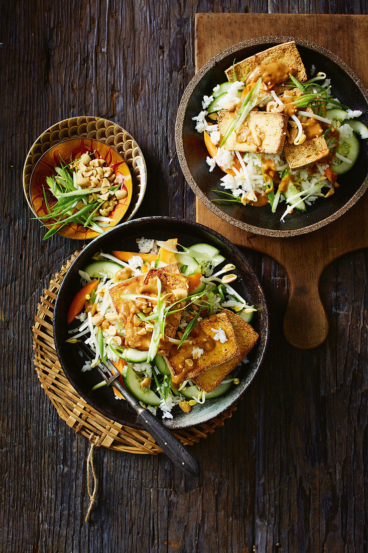 Tahu Goreng (Indonesisches Tofugericht) mit Erdnusssauce