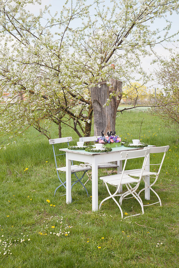 Festively set table under flowering apple tree in garden