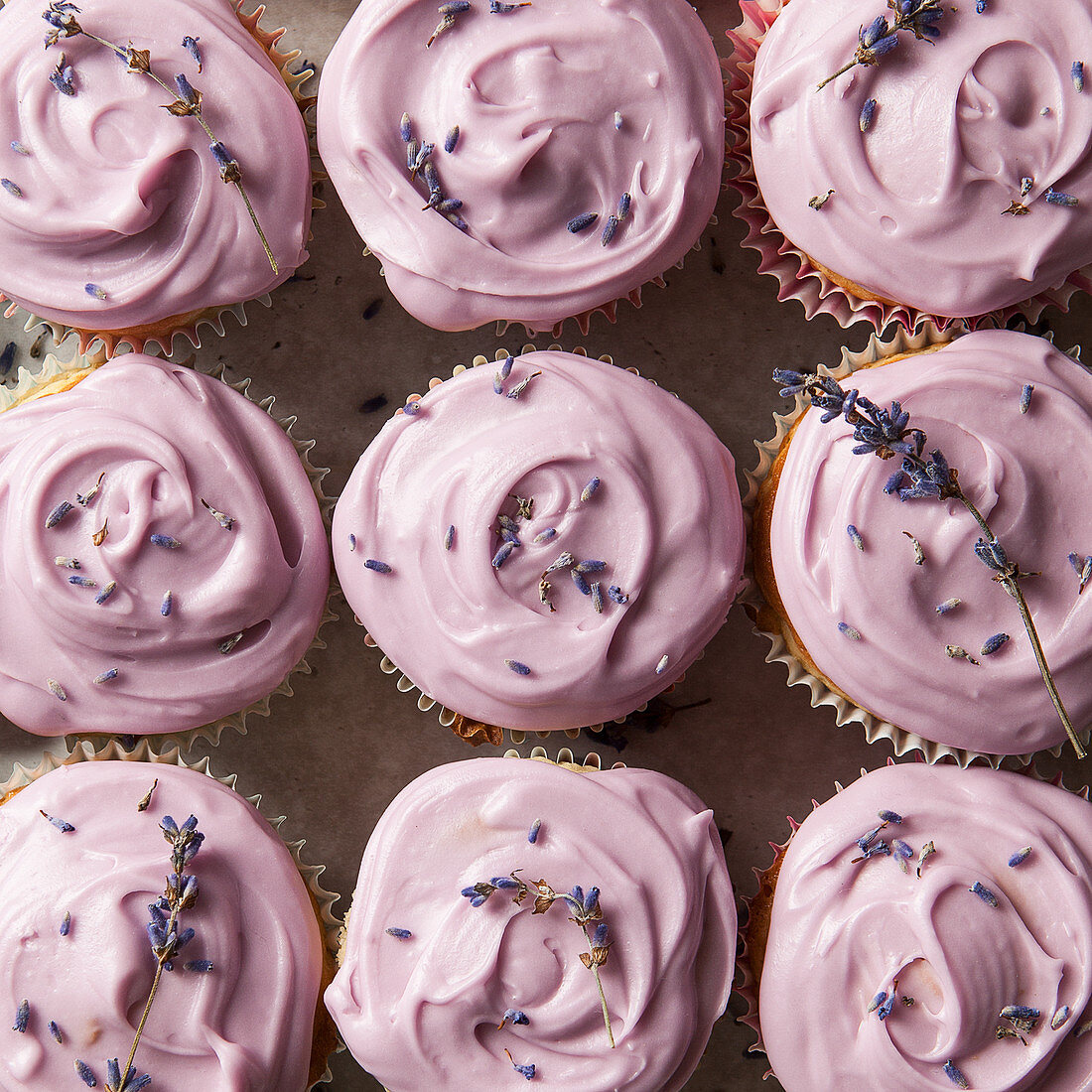 Lavendel Cupcakes