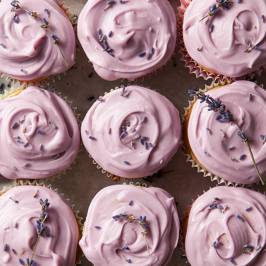 Lavender cupcakes