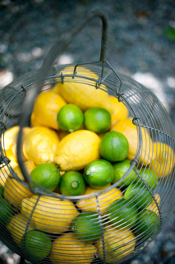 Zitronen und Limetten im Drahtkorb