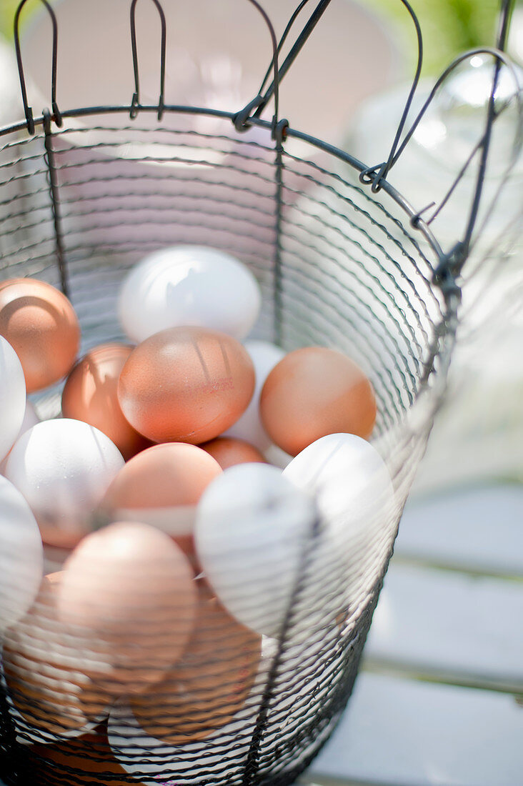 White and brown chicken eggs in a wire basket