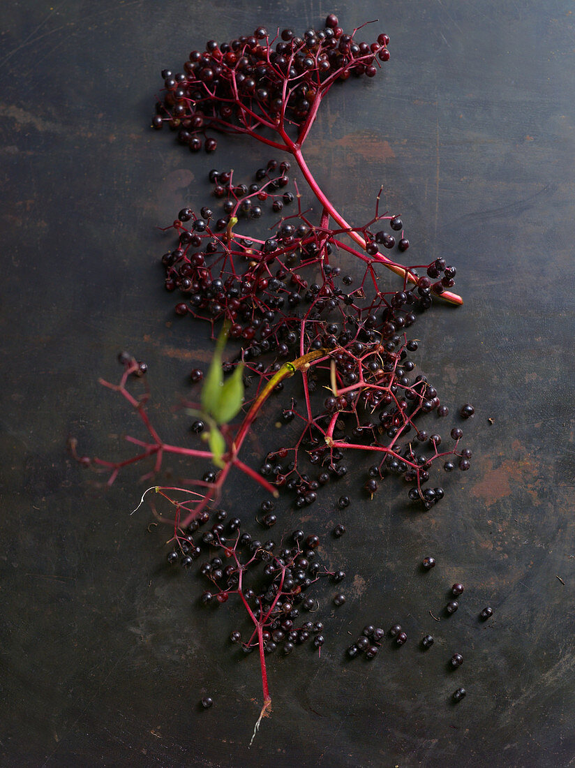 Elderberries on a dark metal surface