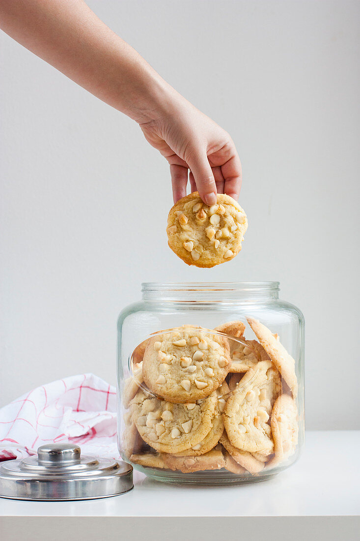 Macadamia Cookies mit weisser Schokolade im Vorratsglas