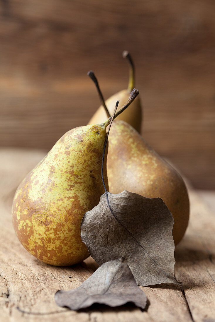 Three organic Conference pears with leaves