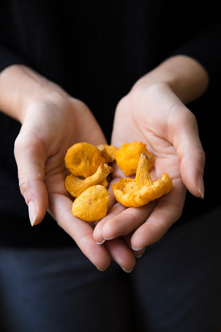 A woman holding chanterelle mushrooms