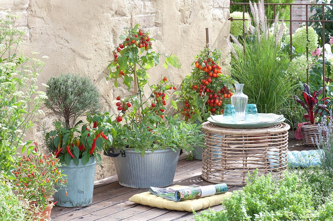 Terrace with vegetables and herbs
