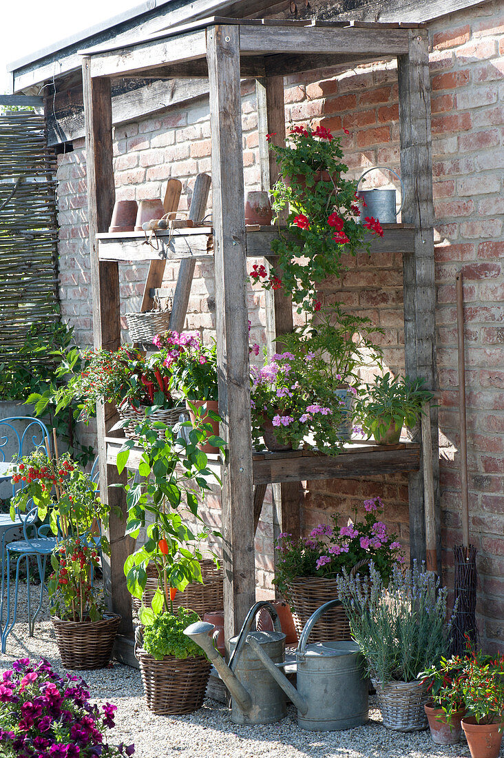 Terrace with plants in the self-made shelf