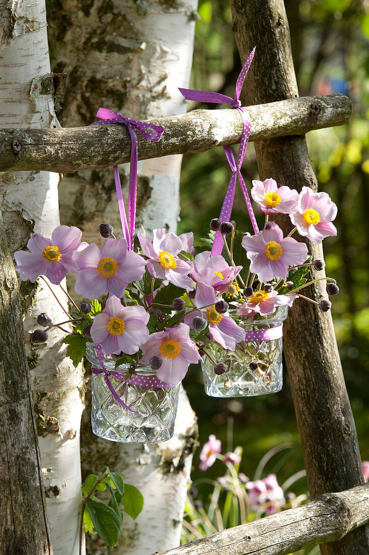 Small bouquets of Anemone hupehensis 'Septembercharme'