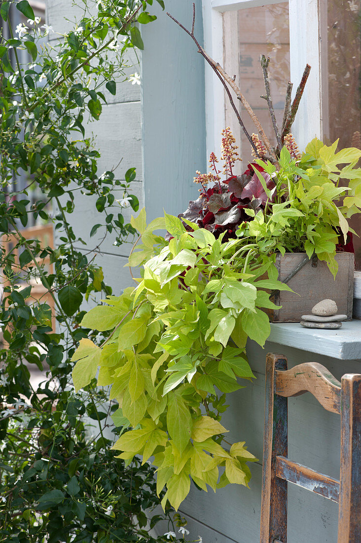 Wooden Box With Leaf Decorations In Front Of The Window