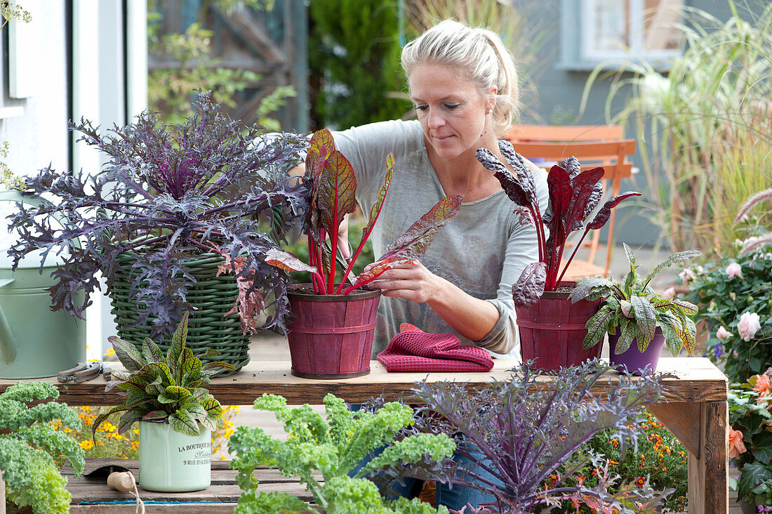 Terrasse mit Blattschmuck - Gemüse im Topf