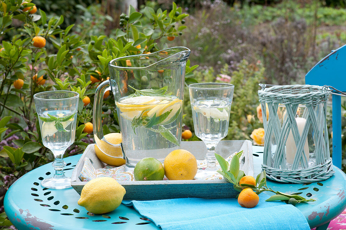 Erfrischungsgetränk mit Zitrone und Zitronenverbene