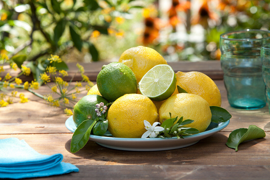 Plate With Citrus Limon (Lemons, Limes) And Branch With Flowers