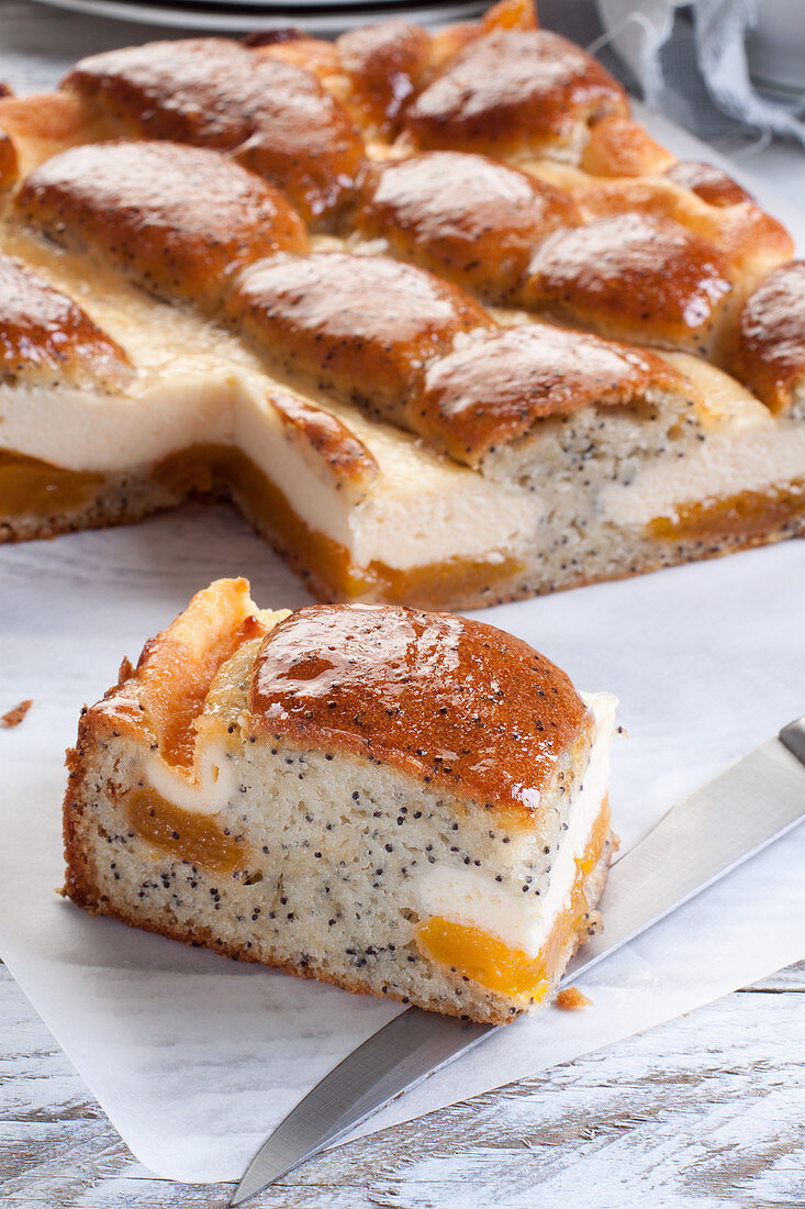 Cake with poppy seeds cheese and apricot