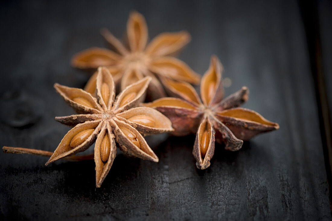 Star Anise on a dark Background