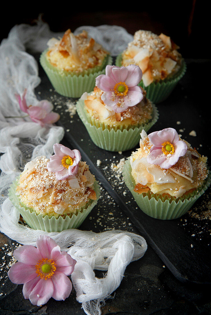 Vanilla Cupcakes topped with coconut and popcorn dust