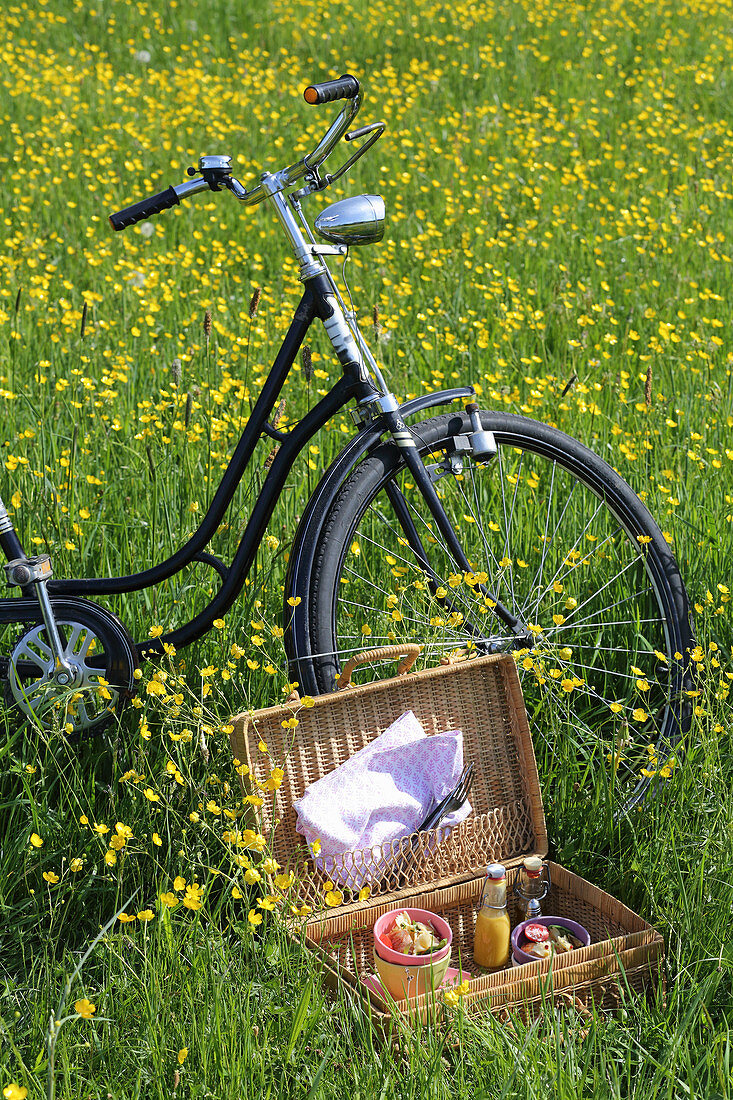 Bicycle and open picnic basket in flowering meadow
