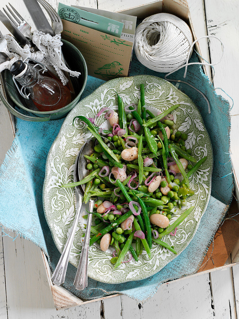 Mixed bean salad with red onions