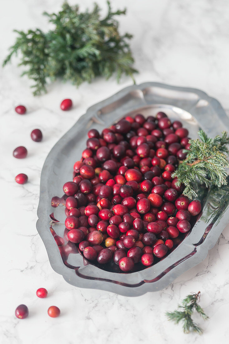 Fresh cranberry on a metal tray