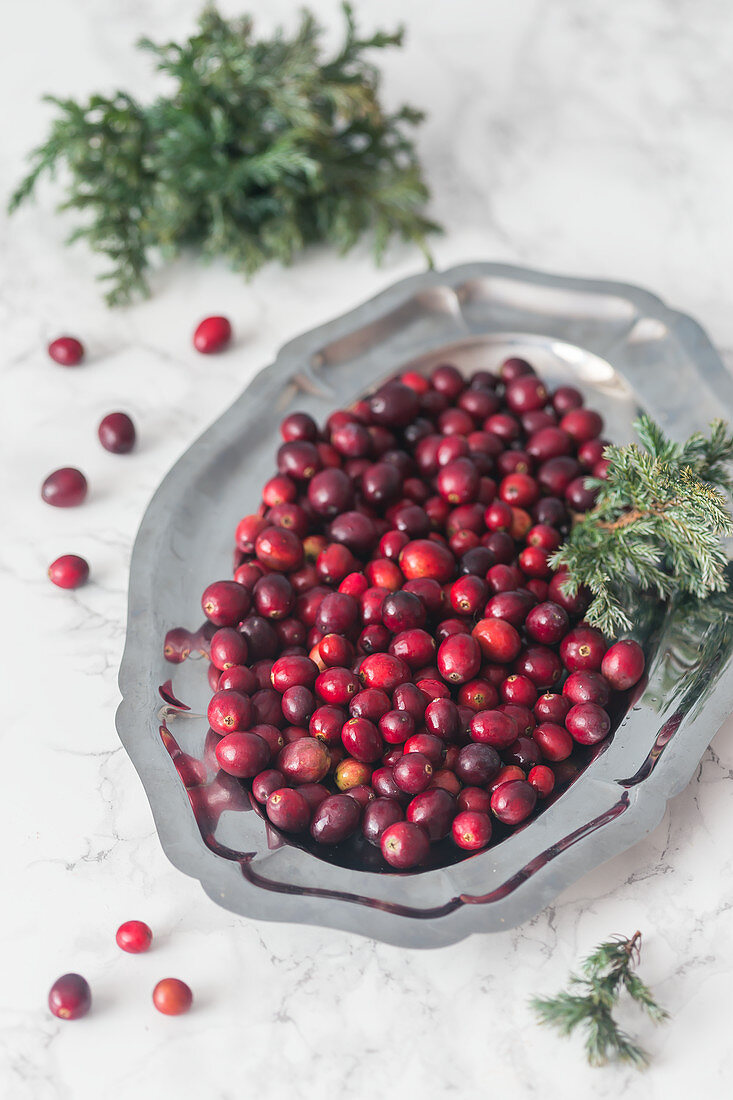 Frische Cranberries auf Metalltablett