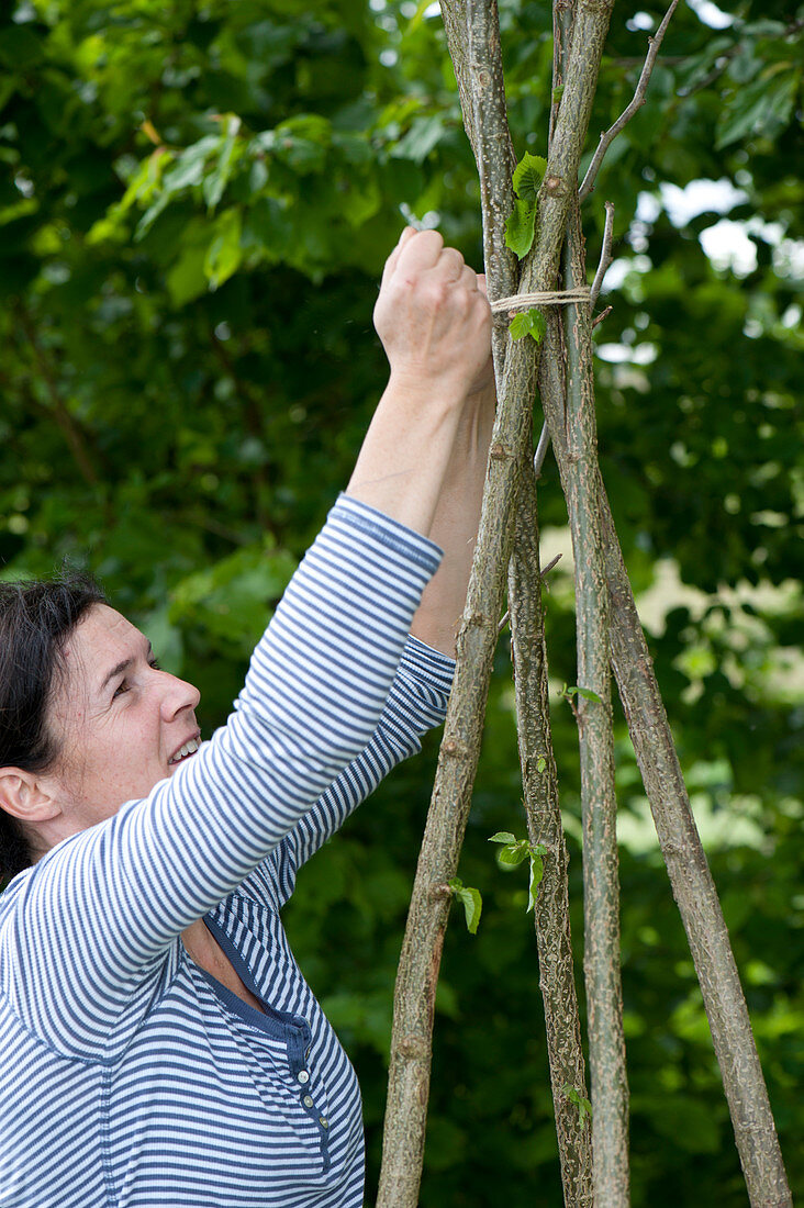 Building a trestle out of hazel rods