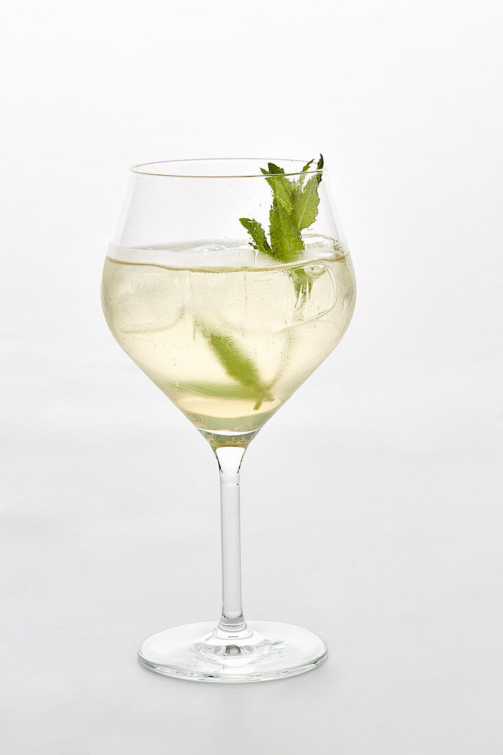 Ein Glas Hugo (Prosecco mit Minze und Holunderblütensirup)