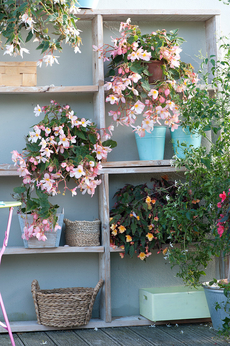 Balcony With Begonias In The Self-Made Shelf