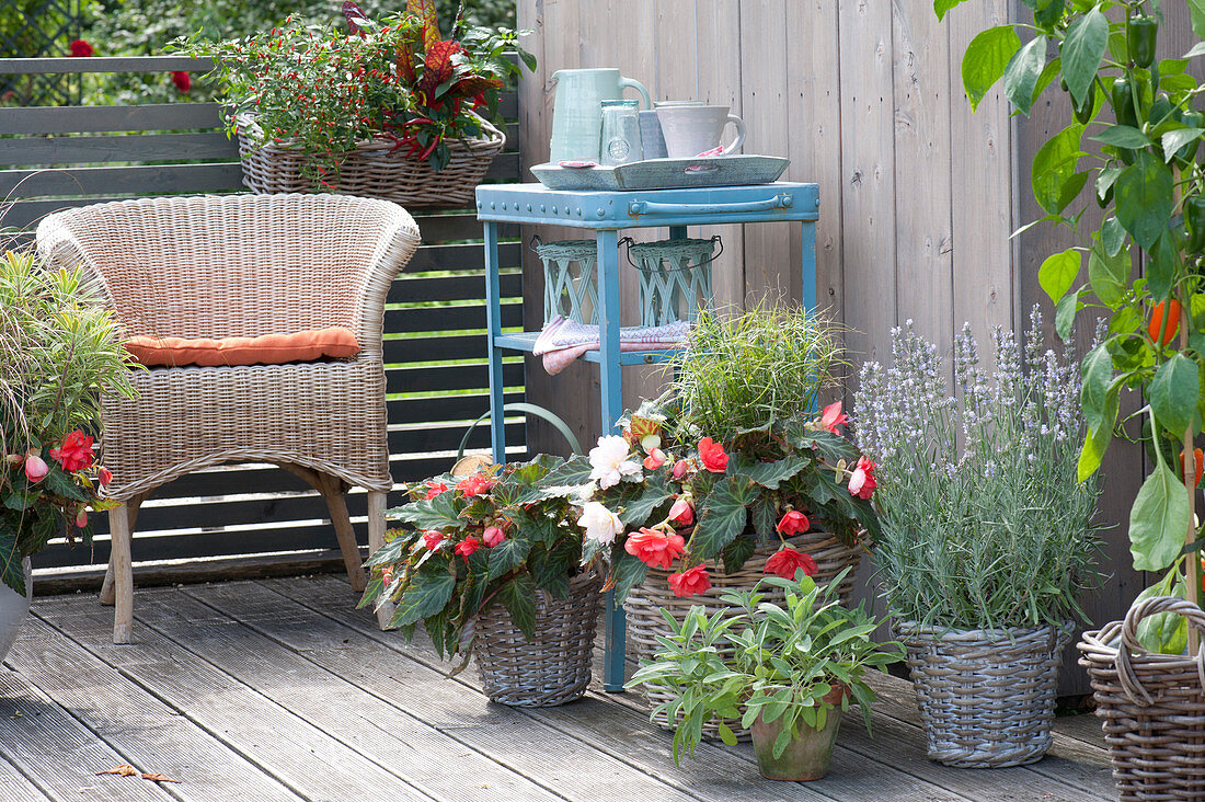 Balcony Arrangement With Begonias