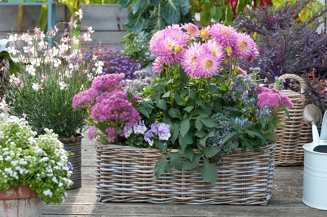 Pink - White Late Summer Arrangement With Dahlia