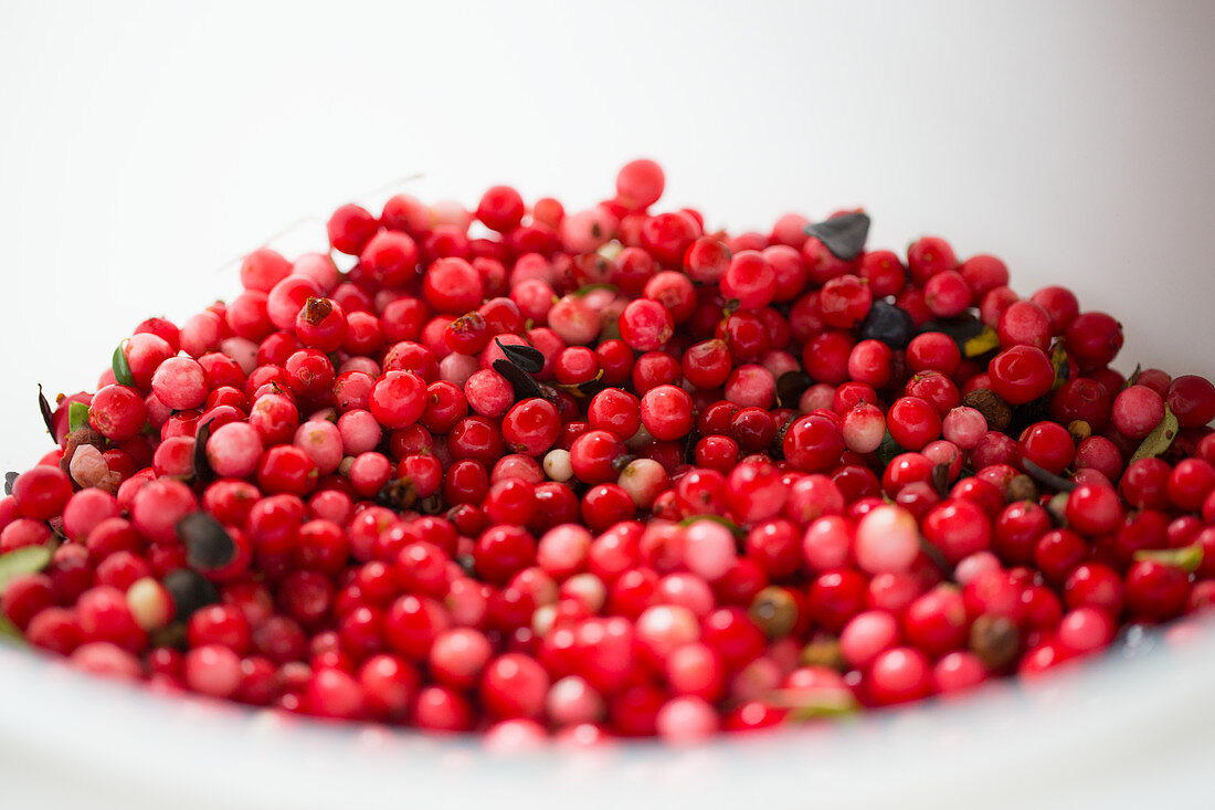 A bowl of lingonberries