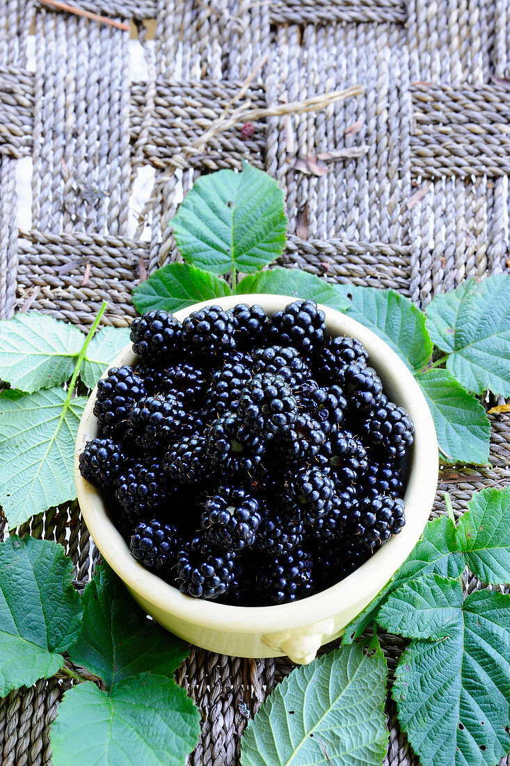 A bowl of fresh blackberries