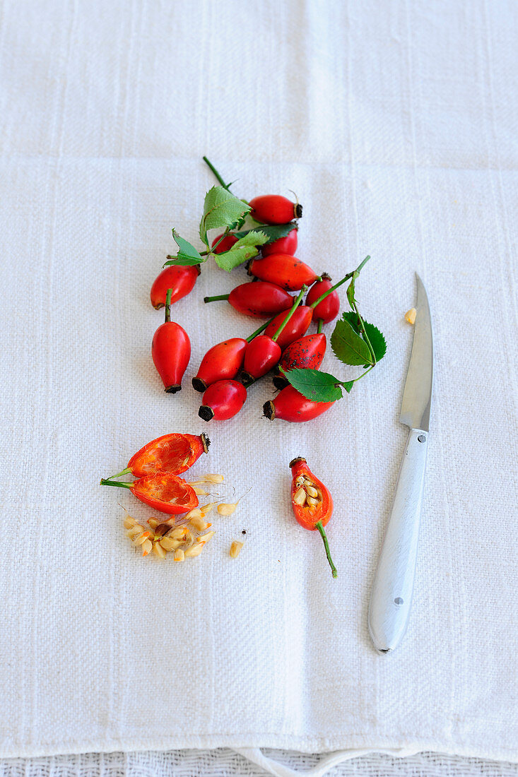 Rosehips, two opened and cleaned