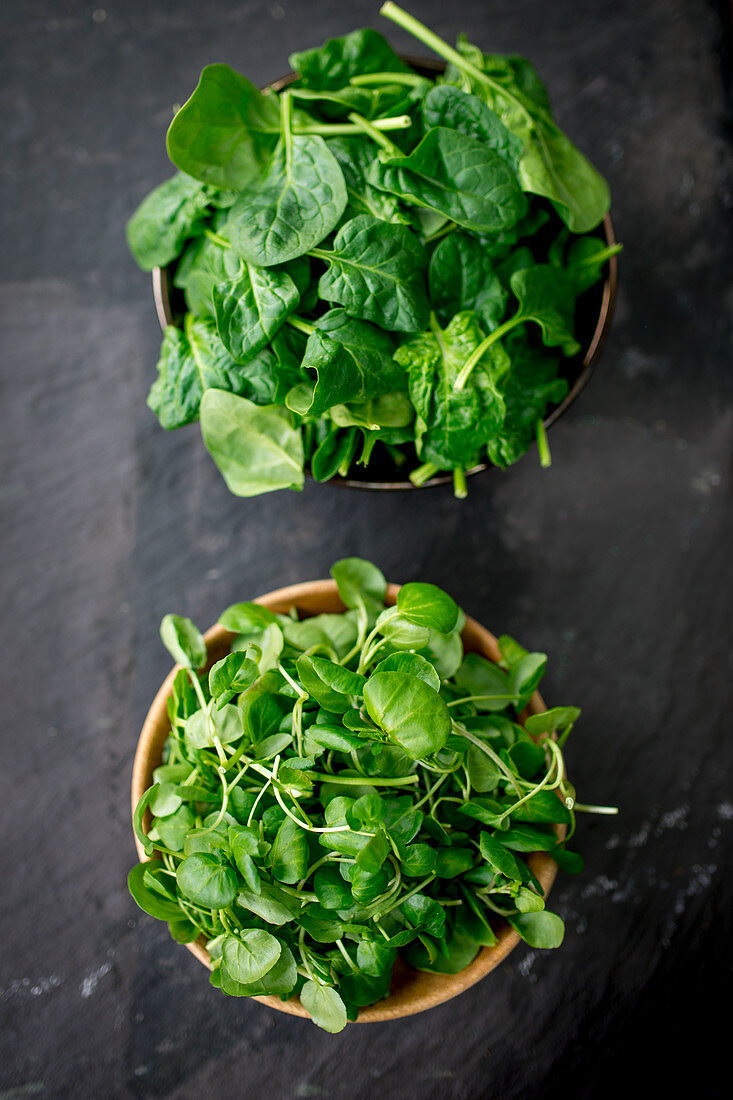 Spring spinach and watercress in wooden bowls