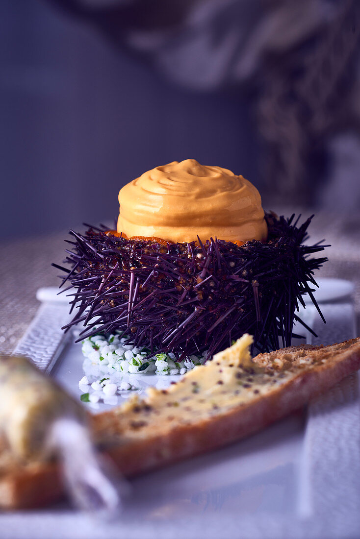 A stuffed sea urchin