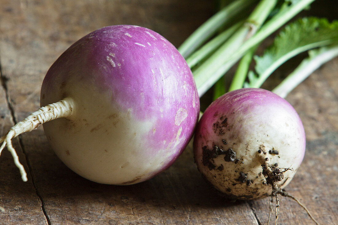 Two turnips on a wooden surface
