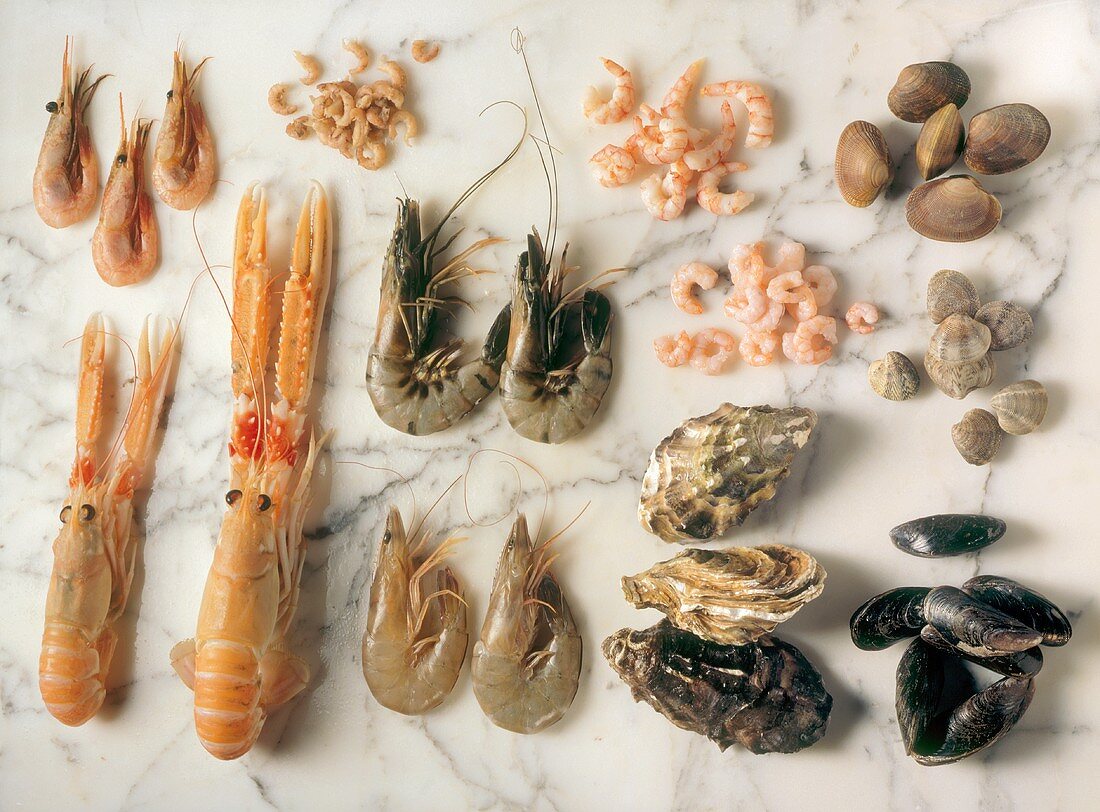 Still Life of Assorted Crustaceans and Shellfish