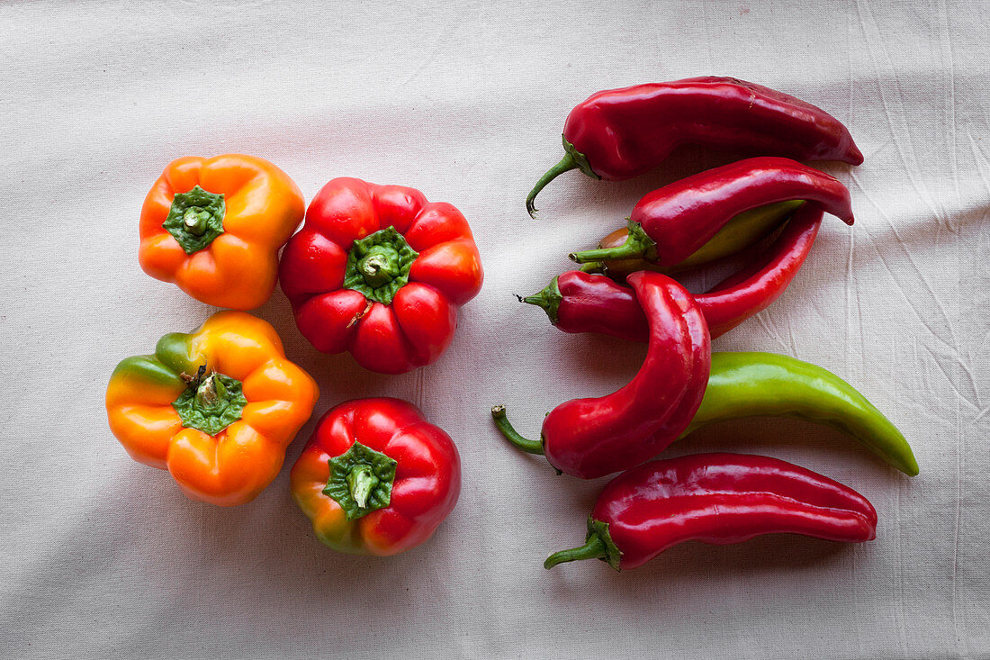 Fresh pepper and chillis