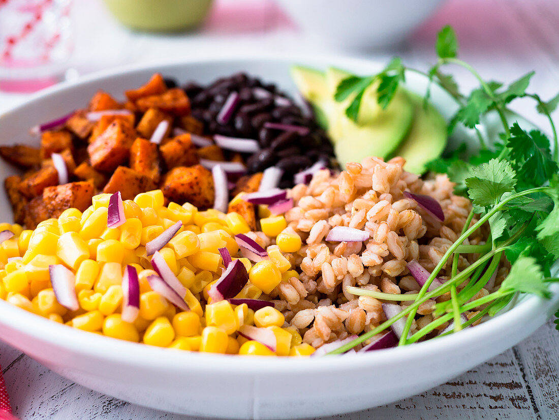 Vegan farro bowl with corn sweet potato black beans and avocado