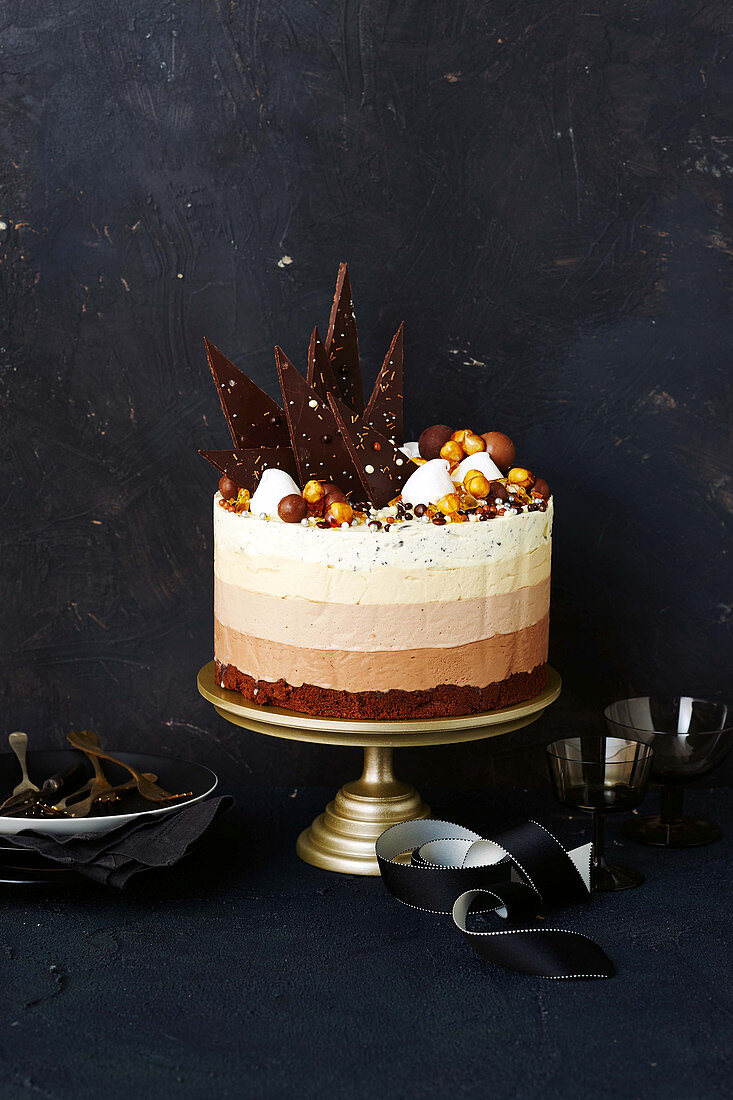 Multi-layer chocolate ice cream cake