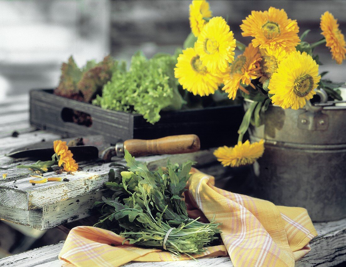 Stillleben mit Rucola, Blumen im Eimer & Salat in Kiste