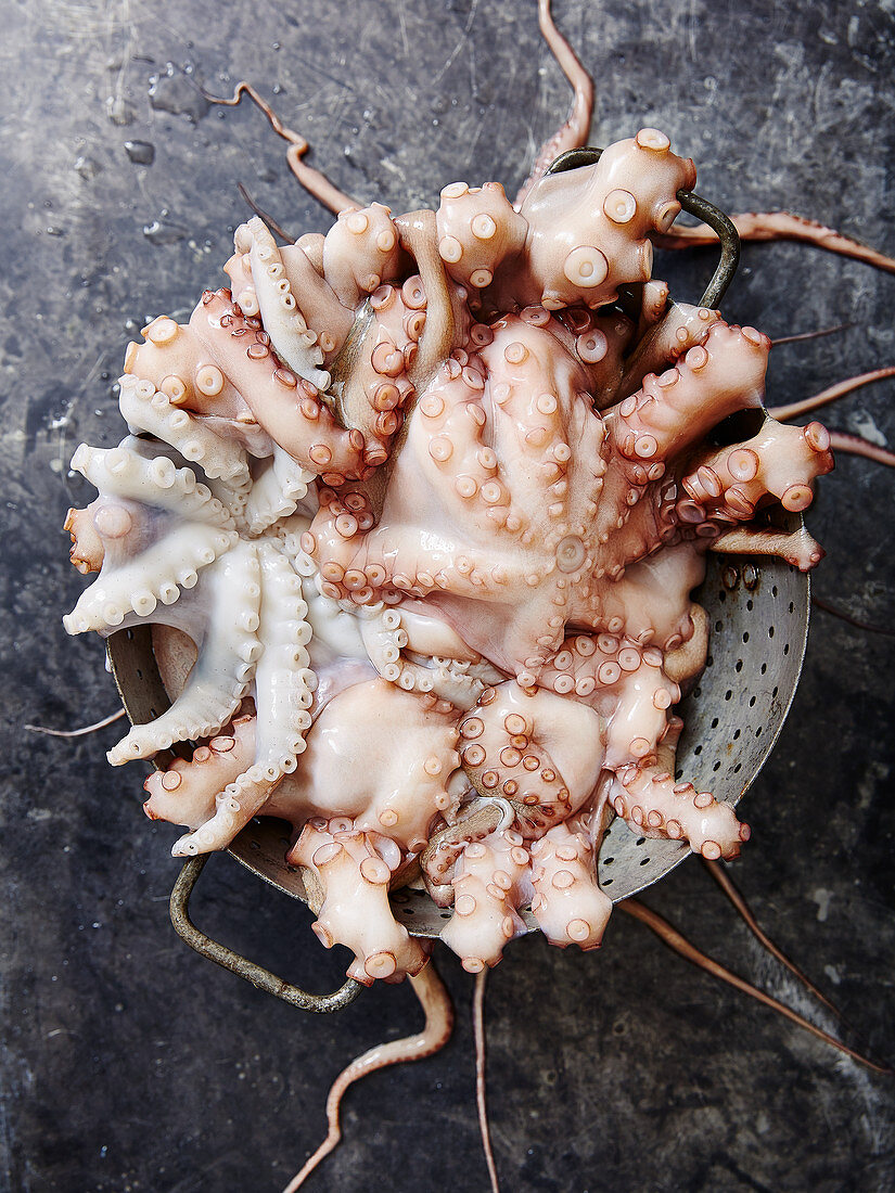 Fresh octopus in a rustic colander