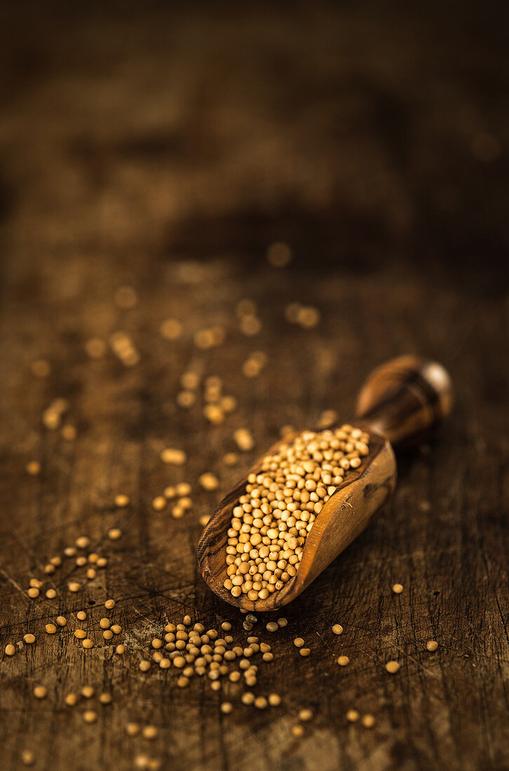 Mustard seeds on a small wooden scoop