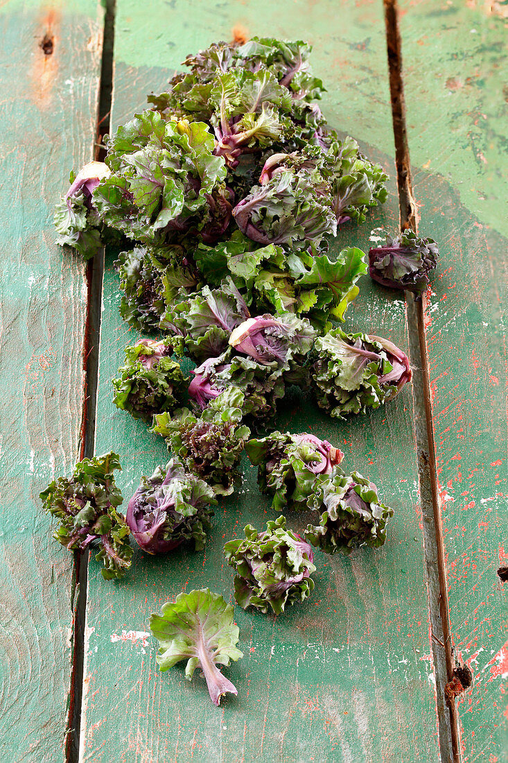 Fresh flower sprouts on a wooden background