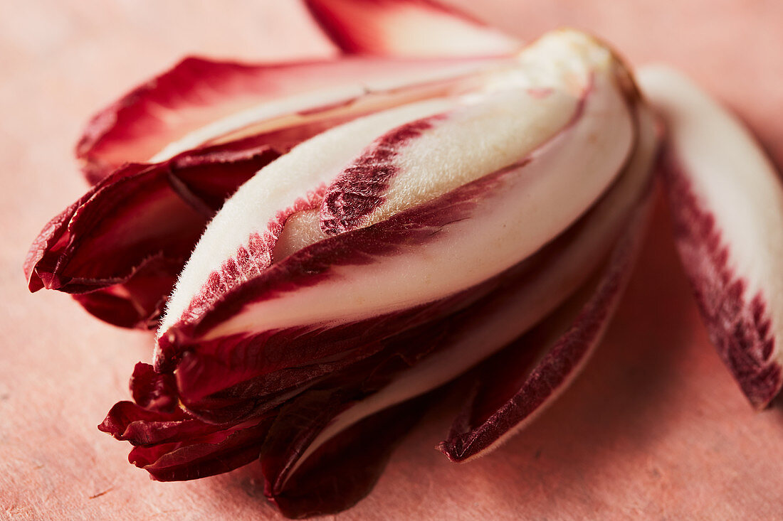 Red endive of the variety Trevisiano (close-up)