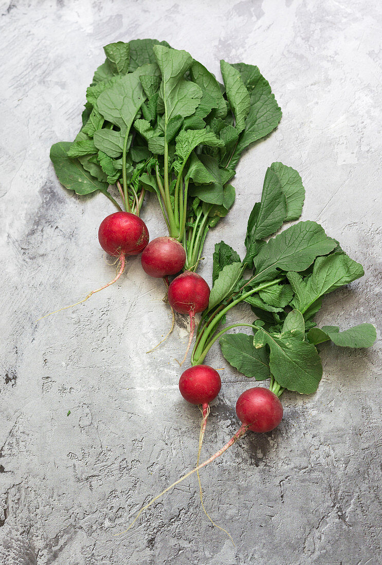 Fresh radishes with leaves