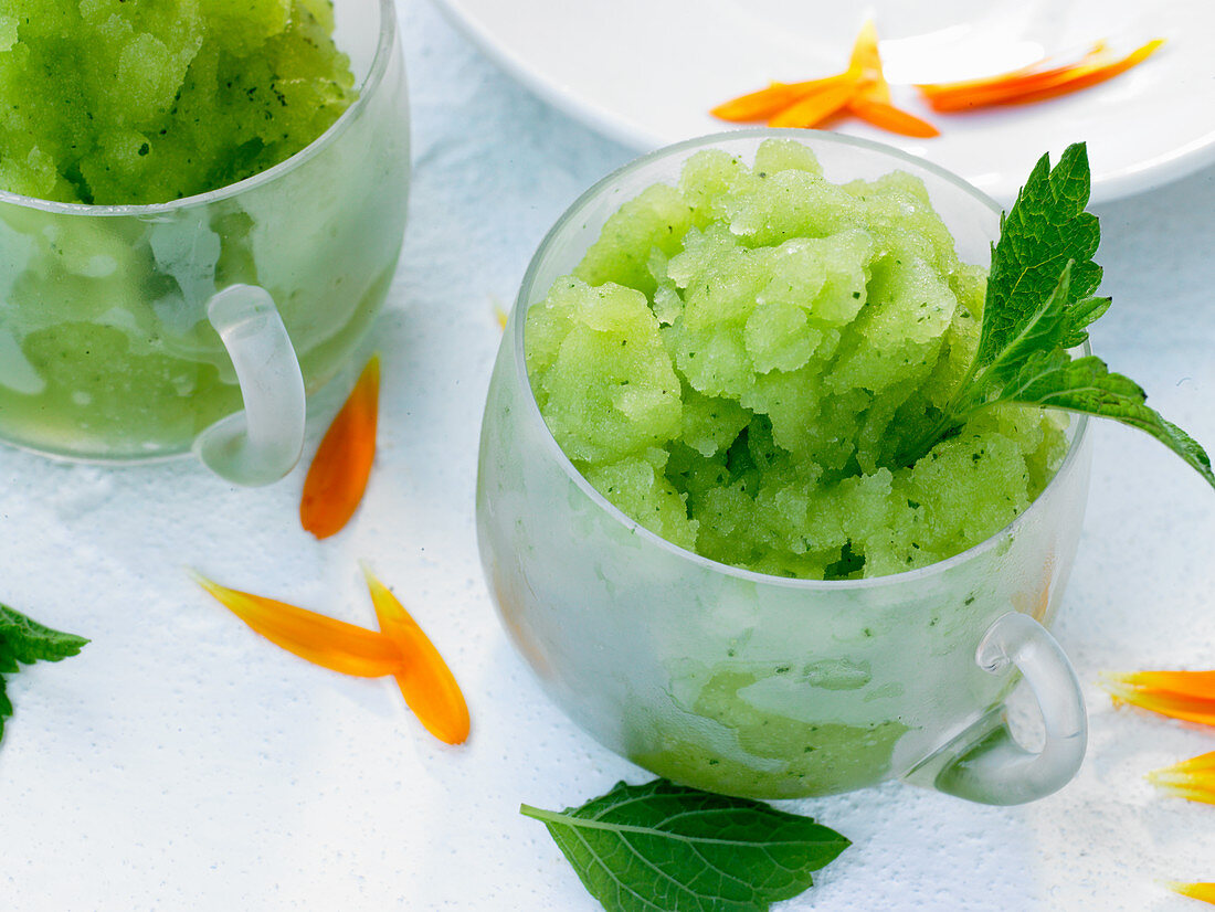 Lemon balm sorbet in glasses