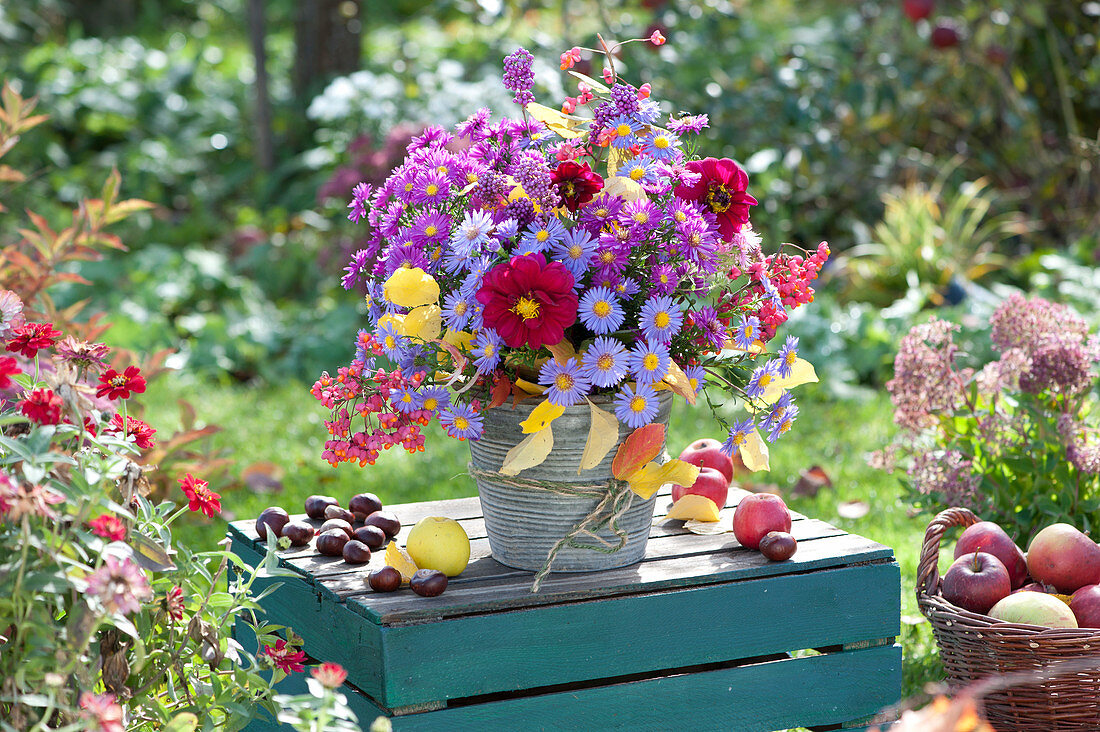 Autumn Bouquet With Asters, Zinnias And Fruit Stalks From The Pfaffenhütchen
