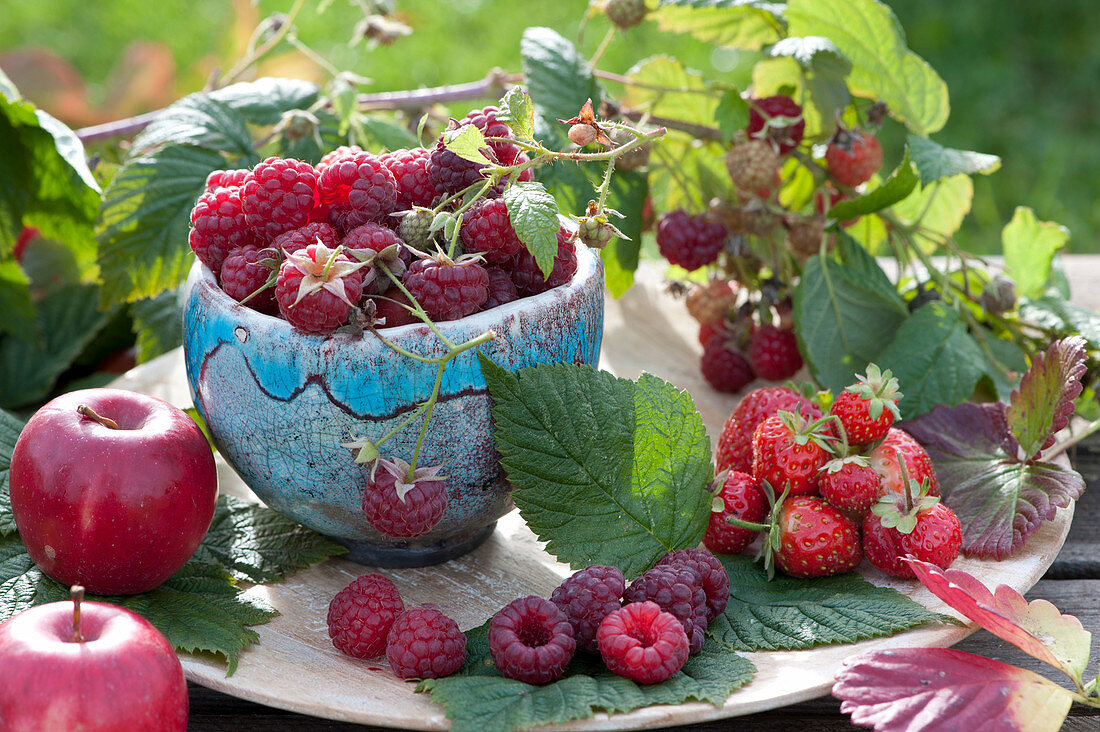 Freshly Picked Raspberries In A Pottery Shell